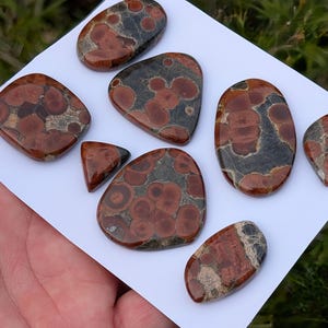 Może przedstawiać: Kolekcja wypolerowanych kamieni o r&oacute;żnych kształtach, w tym owalnych, kwadratowych i tr&oacute;jkątnych. Kamienie charakteryzują się mieszanką czerwono-brązowych i szarych wzor&oacute;w, z błyszczącym wykończeniem. Ułożone są na białej powierzchni, ukazując ich naturalne piękno.