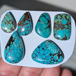 May include: Six turquoise gemstones in different shapes, including teardrop, oval, and triangular forms. The stones have a vibrant blue-green colour with dark matrix patterns. The gemstones are arranged on a white surface.