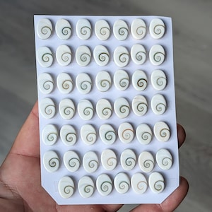May include: A selection of oval, white shell beads, each featuring a spiral pattern in green and brown. The beads are displayed on a white card. These beads are suitable for jewellery making and crafting projects.