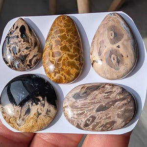 May include: Five polished gemstones in various shapes and colors. The stones include teardrop, oval, and round shapes, with colors ranging from black and brown to tan and gold. The stones have unique patterns and textures, showcasing natural variations.