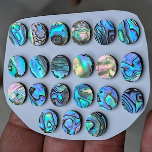 May include: Twenty oval abalone shell pieces, each with iridescent blues, greens, and purples. The shells are arranged on a light grey, rounded rectangular surface, highlighting their natural patterns and colours. Each piece is unique.