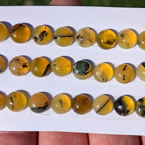 Op de afbeelding: Een verzameling ronde, gele edelstenen met unieke zwarte en bruine insluitsels. De stenen zijn in rijen op een witte kaart gerangschikt, waarbij hun gevarieerde patronen en tinten worden getoond. De edelstenen zijn waarschijnlijk voor het maken van sieraden.