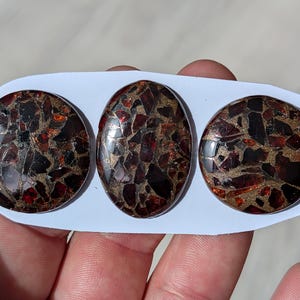 May include: Three cabochon gemstones with a mosaic pattern of dark red, brown, and gold fragments. The gemstones are set on a white backing, with one oval and two circular shapes. The stones are held by a hand.