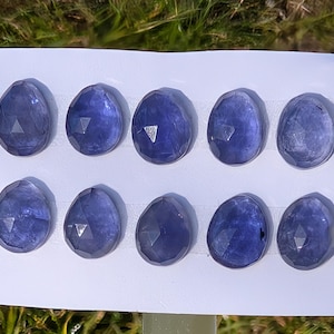 Peut inclure: Dix pierres précieuses ovales bleu foncé, taillées à facettes, sont disposées sur une surface blanche. Les gemmes, disposées en deux rangées, présentent une surface polie et réfléchissante, sur fond de feuillage vert.
