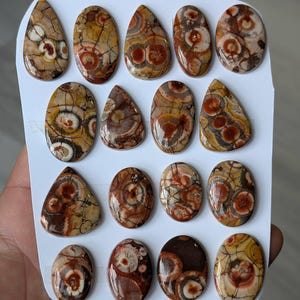 1 Piece Bird Eye Jasper Freeform Flat Back Gemstone Cabochon wire wrapping Jewelry Pendant setting macrame jewelry metalsmith