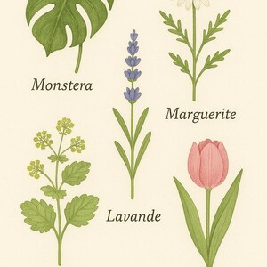 Printable Botanical Herbarium Poster – Plants and Flowers Illustration – Natural Wall Decoration – A4 & A3 – Digital Download