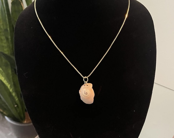 Natural Shell Necklace from North Beach Tybee Island