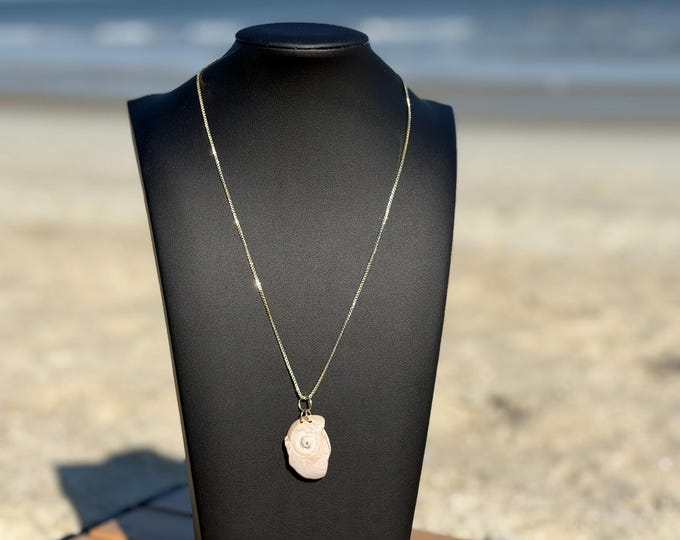 18" Gold Necklace with natural shell necklace from North Beach Tybee Island