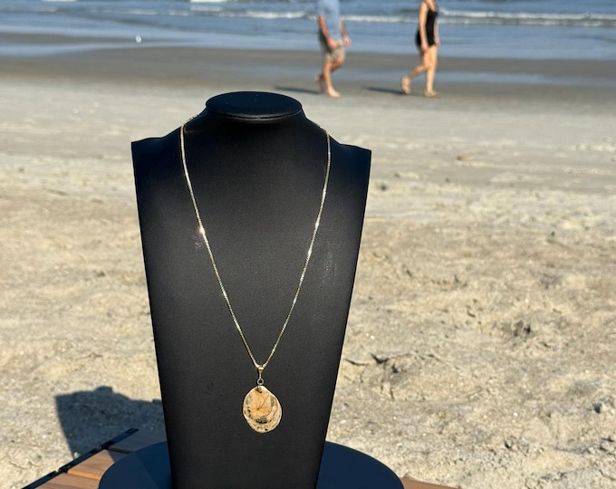 18" 14K Gold over brass box chain necklace with Calico Shell