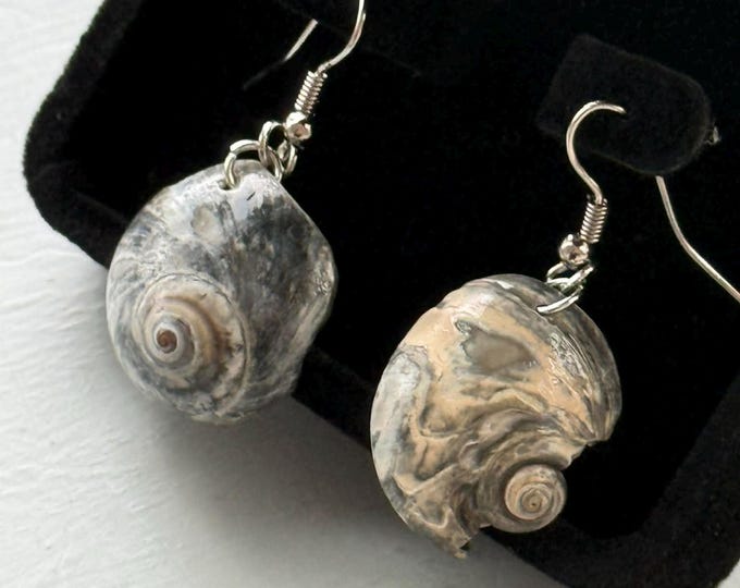 Silver tone hypoallergenic fishhook earrings with grey shell