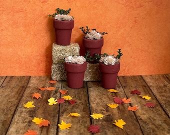 May include: Four dark red terracotta pots containing small white flowers and green foliage, arranged on two stacked rectangular hay bales. The scene is decorated with scattered artificial autumn leaves in shades of yellow, orange, and red.