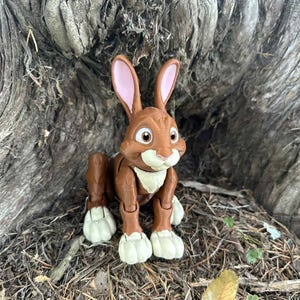 Flexi 3D Printed Bunny Rabbit