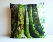 decorative pillow cushion cover, throw pillow tree pillow MORTON BAY FIG tree organic cotton cushion cover, pillow, 16", 41cms