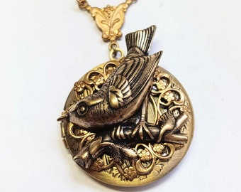 Wren Locket, Brass Bird Locket, wren, locket, brass bird, bird locket, bird, brass locket