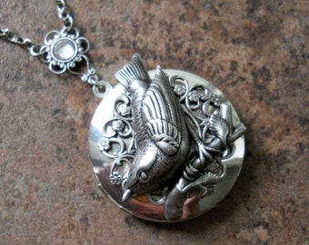 Wren Locket, Silver Bird Locket, wren, locket, silver bird, bird locket, bird, silver locket