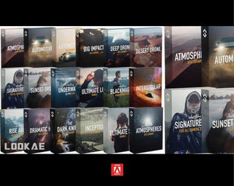 Cinematic LUTs and Sound Effects Master Bundle (Digital Download)