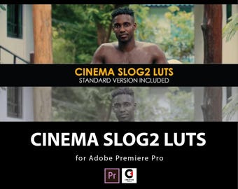 Sony S-Log2 Cinematic LUTs | Video Color Grading Presets (Digital Download)