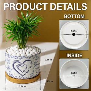 Peut inclure: Plante en pot avec des feuilles vertes et des cailloux blancs dans un pot en c&eacute;ramique. Le pot a un motif floral bleu et les mots "Mommy" et "Grammy". Le pot mesure 9 cm de large et 6,5 cm de haut.