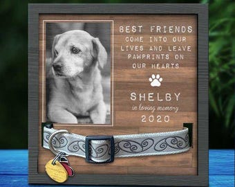 Gepersonaliseerd bord met gedenkteken voor huisdier: fotolijst en kraag aandenken