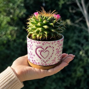 Peut inclure: Un petit cactus avec des fleurs roses dans un pot en c&eacute;ramique blanc. Le pot a un motif floral avec les mots "Grammie" et "Momma" en forme de c&oelig;ur. Le pot repose sur une soucoupe en bois.