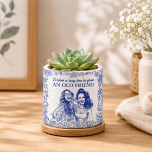 May include: A white ceramic cylindrical planter with a blue floral border and a blue illustration of two people. The text reads, "It takes a long time to grow AN OLD FRIEND." A green succulent sits inside, and the planter rests on a round wooden base.