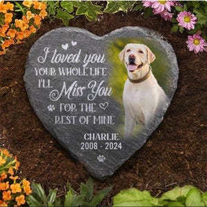 May include: Heart-shaped memorial stone with a photo of a yellow Labrador. The stone has the inscription "I loved you, your whole life, I'll miss you, for the rest of mine, Charlie 2008-2024". The stone is surrounded by flowers.