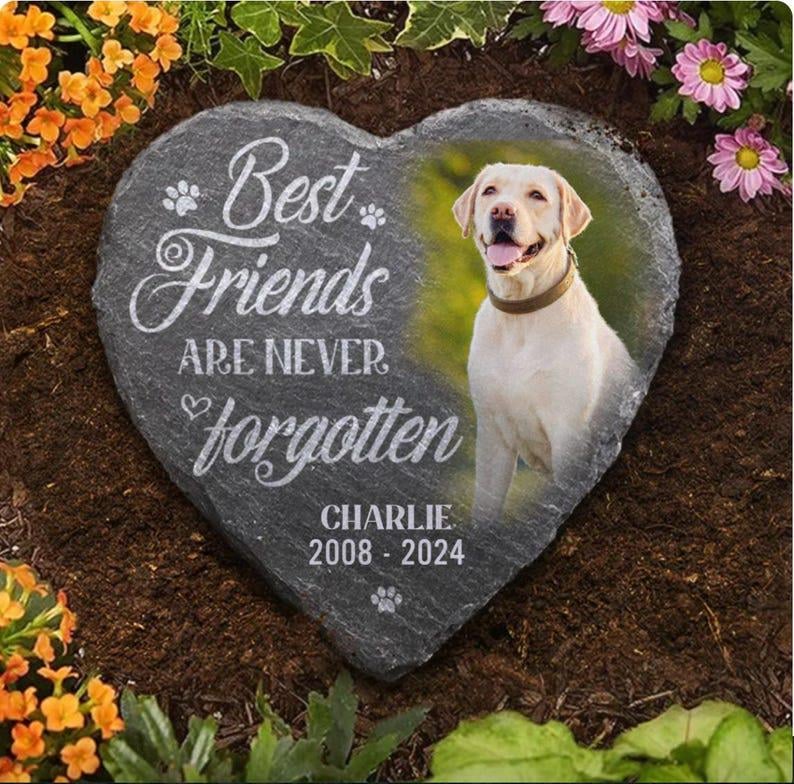 May include: Heart-shaped memorial stone with the text "Best Friends Are Never Forgotten" and a photo of a yellow Labrador. The stone includes the name "Charlie" and the years 2008-2024.