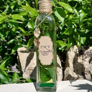 May include: A small glass bottle with a cork stopper and a gold chain with leaf charms. The bottle contains a green liquid and a green leaf. The label on the bottle reads "Ent Draught".