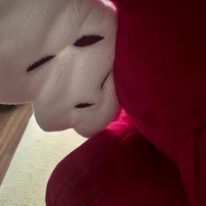 May include: Close-up of a plush toy featuring a white, textured wing with dark brown stitched details. The wing is attached to a vibrant red body, with a soft, velvety texture. The toy's design suggests a whimsical or fantasy theme.