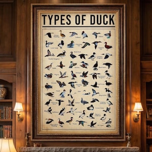 Vintage Duck Breeds Wall Art, Metal Aluminum Poster, Fade Resistant Bird Print, Indoor Outdoor Rustic Farmhouse Decor