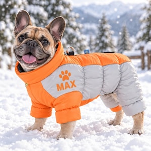 Könnte beinhalten: Eine falbfarbene Französische Bulldogge trägt einen gesteppten, isolierten Hundemantel. Der Mantel hat leuchtend orangefarbene Einsätze an Hals und Brust sowie hellgraue Einsätze an den Seiten und am Rücken. Ein orangefarbenes Pfotenabdruck-Symbol und der Name MAX sind auf der Seite aufgedruckt.