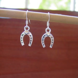 Horseshoe Earrings - Horse Sterling Silver Earrings - Equestrian Jewelry - Horseshoe Jewelry