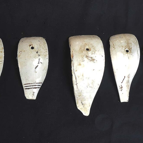 Large Old Shell Bead Pendants From The Naga People