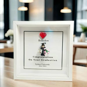 Decoración de pared con minifigura de graduación personalizada, regalo de graduación personalizado, para niños, regalo para él, regalo para ella, regalo especial, recuerdo eterno personalizado.