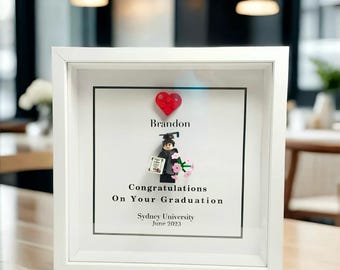 Customized Graduation Minifigure wall Decor,Personalized Graduation Gift,kids,Gift for him,Gift for Her,Special Gift,Custom Eternal Keepsake
