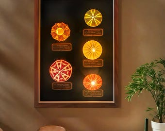 Natural Sea Urchins Night Light Wall Decor,Handmade Lamp for Bedroom,Kids Room,Living Room,Home decor,Birthday Gift,Modern wall Lamps,friend