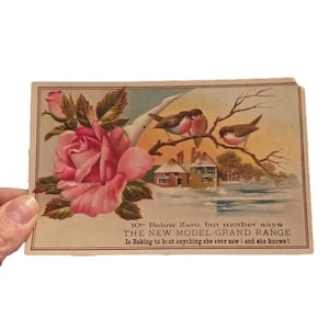 Antike Werbung Trade Card Winterszene mit Vögeln Pink Rose Das neue Modell Grand Range Ende 1800 Anfang 1900 Papier Ephemera