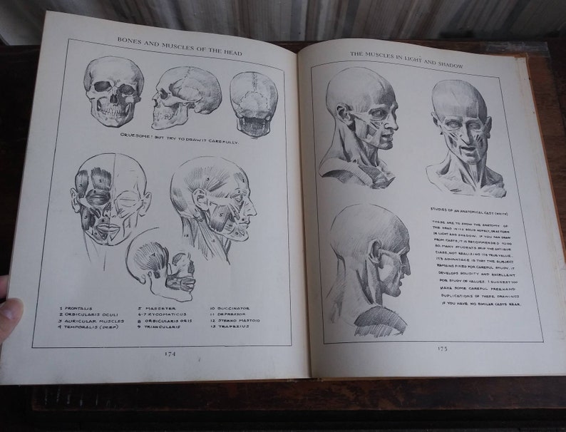 Vintage Art Book Figure Drawing for All It's Worth 1964 Etsy