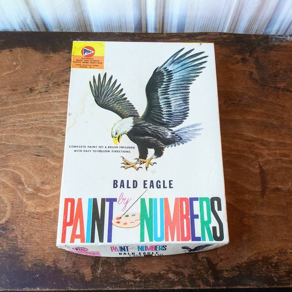 Model Bird Kits Etsy