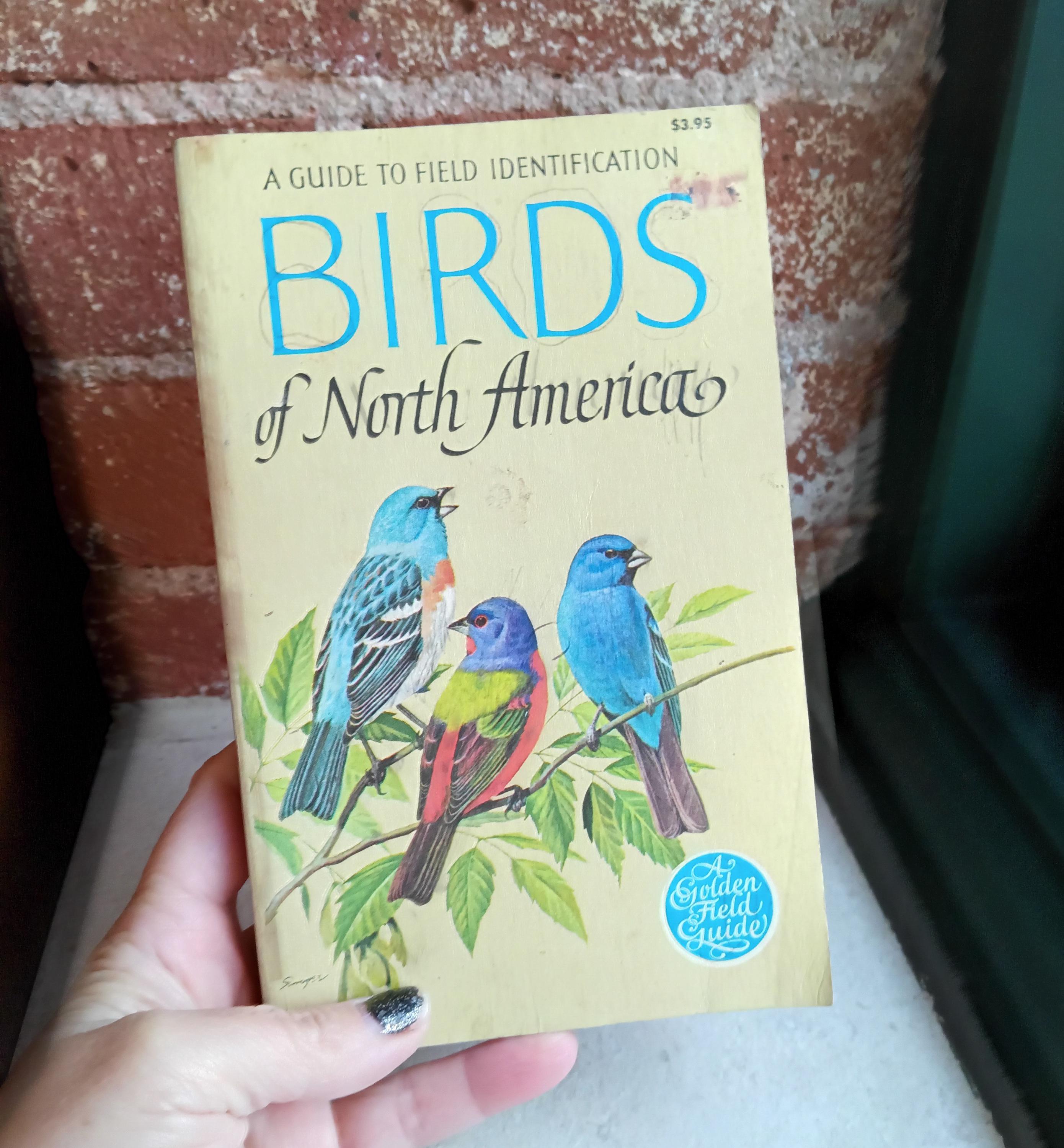 Vintage 1966 Bird Book: Birds of North America Field Guide - Etsy