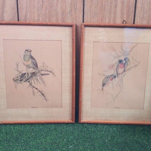 Pair of Vintage Bird Pictures Wall Decor Bamboo Style Frame J Gould Colorful Bird Print 50&#39;s 60&#39;s Mid Century Shabby Chic Tropical Decor