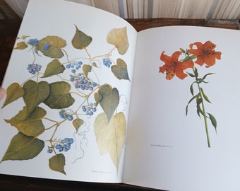 Beautiful Vintage Floral Coffee Table Book or Tear & Frame Things As They Are Botanical Drawings and Paintings Nature Art