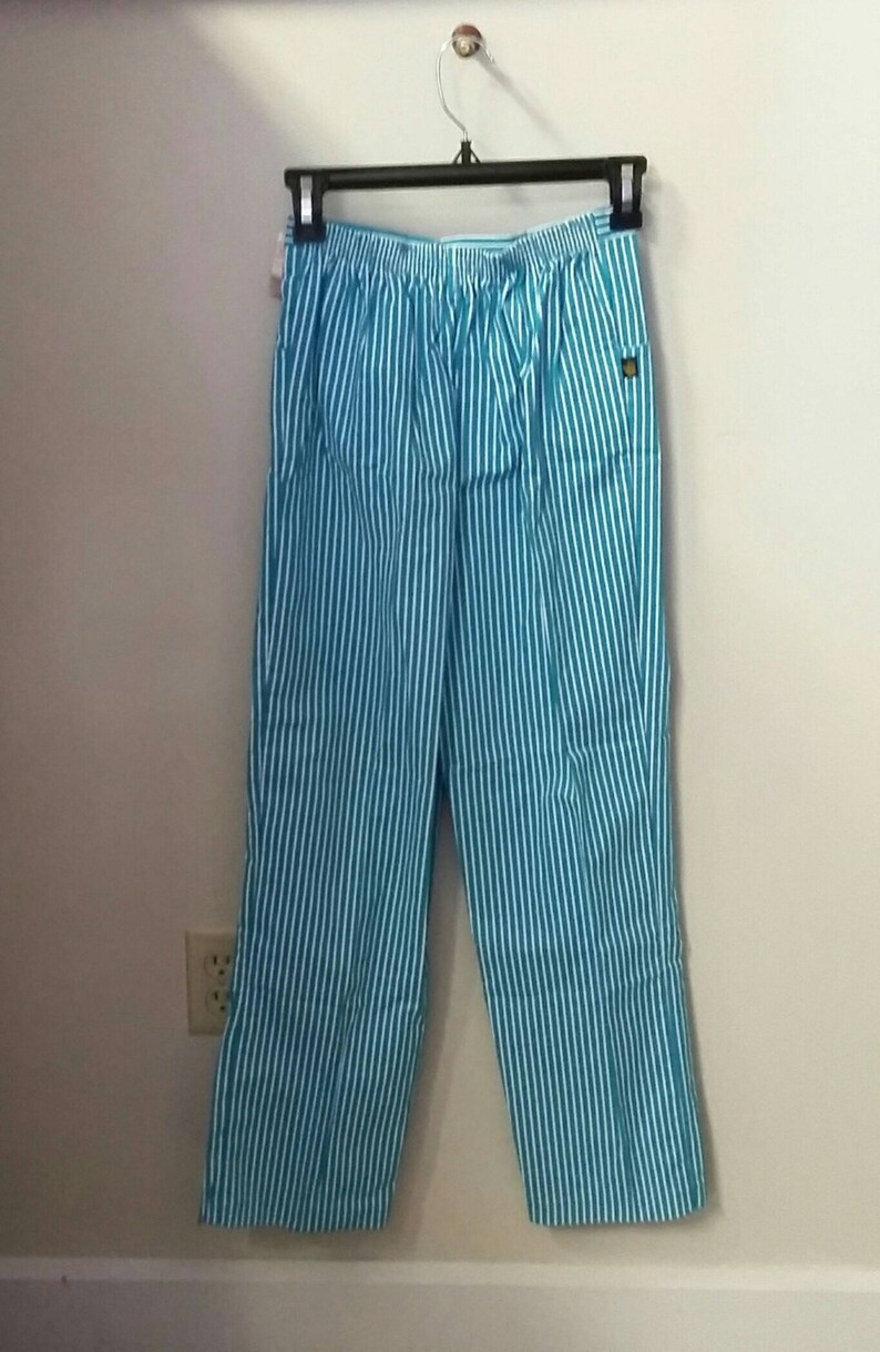 Vintage Pants Sasson Oo La La Sasson Aqua & White Striped - Etsy