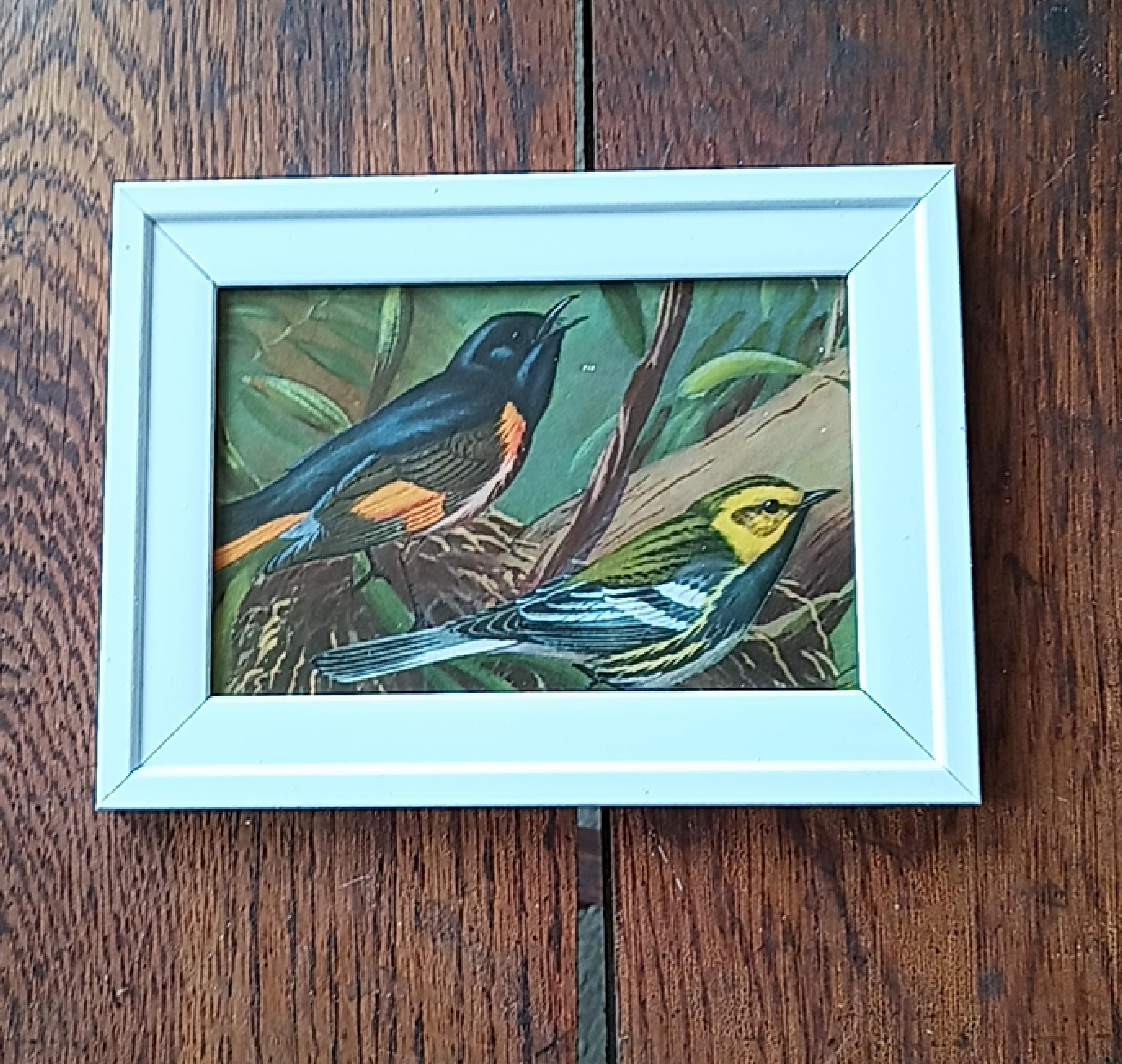 1930年代のヴィンテージ鳥のプリント：額入りカラフルな自然壁アート