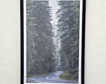 11x17 Vertical Photography Print – Redwood Forest Wall Art, Moody Nature Decor, Print Only