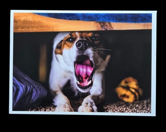 5x7 Dog Photography Print – Glossy Pet Wall Art, Unframed Photo