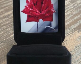 Red Rose Velvet Ring Box – Romantic Photo Insert Jewelry Display, Hand-Assembled