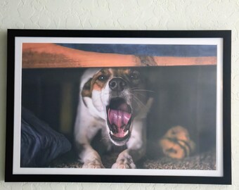 11x17 Horizontal Dog Photography Print – Moody Pet Portrait, Cozy Home Wall Art (Print Only)