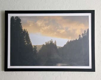 11x17 Forest River Photography Print on Cardstock – Moody Landscape Wall Art, Unframed