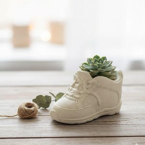 blumenkasten sunny belavi Balkonbox Frosty Twilight kaufen